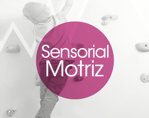Sensorial Motriz