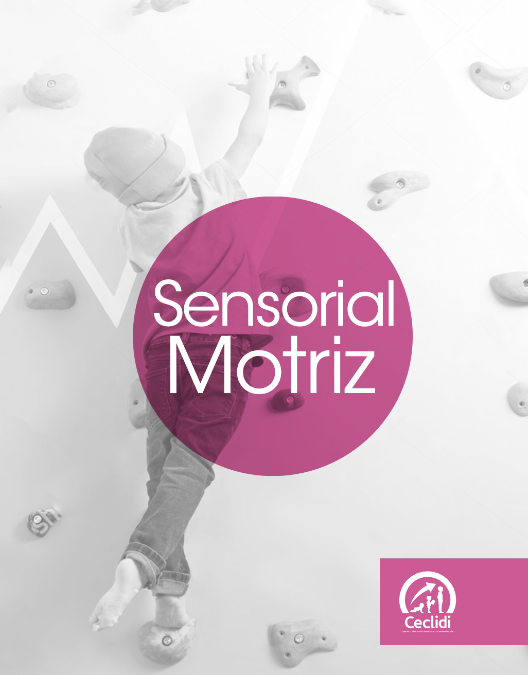Sensorial y Motriz
