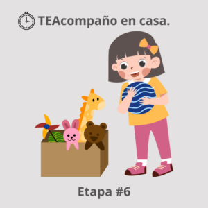 CECLIDI TEAcompaño etapa 6